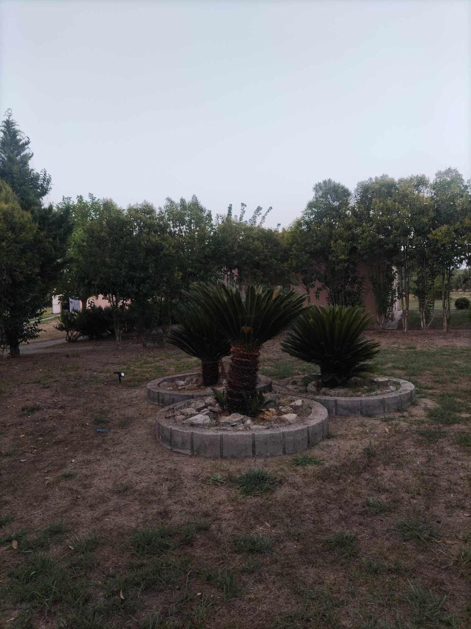 Romvi Village Amaliada Екстер'єр фото